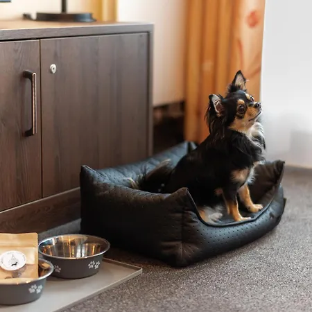 Familienapartment Am Neumarkt Ll ドレスデン
